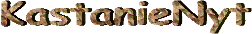 KastanieNyt 